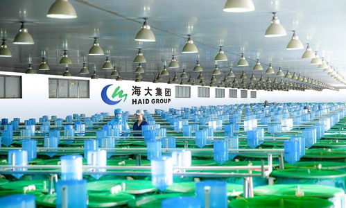 農(nóng)行廣東分行助力種業(yè)振興 激活芯動(dòng)能 延伸金融服務(wù)至汽車裝飾用品銷售