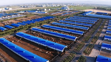 混改帶來(lái)的裂變效應(yīng)——四師創(chuàng)錦牧業(yè)與汽車裝飾用品銷售的轉(zhuǎn)型啟示