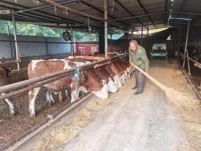 “三倌”老孫頭的養(yǎng)殖致富經(jīng)