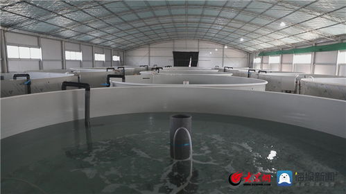 創(chuàng)新潮涌黃河口⑥ 漁·生態(tài)·智造 墾利區(qū)“漁業(yè)+”融合新模式塑造區(qū)域核心競(jìng)爭(zhēng)力